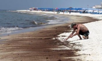 http-::www.beaumontenterprise.com:news:health:article:study-tar-balls-found-in-gulf-teeming-with-4977264